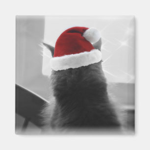 Adorable Christmas Kitten Magnet