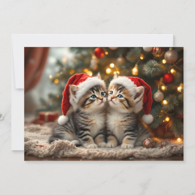 Adorable Christmas kitten with Santa hats  Holiday Card (Front)