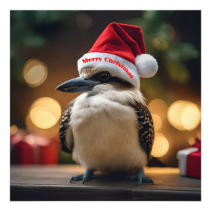 Adorable Christmas Kookaburra, Photo Print