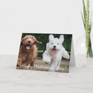 Adorable Cockapoo Puppies Valentines Day Card
