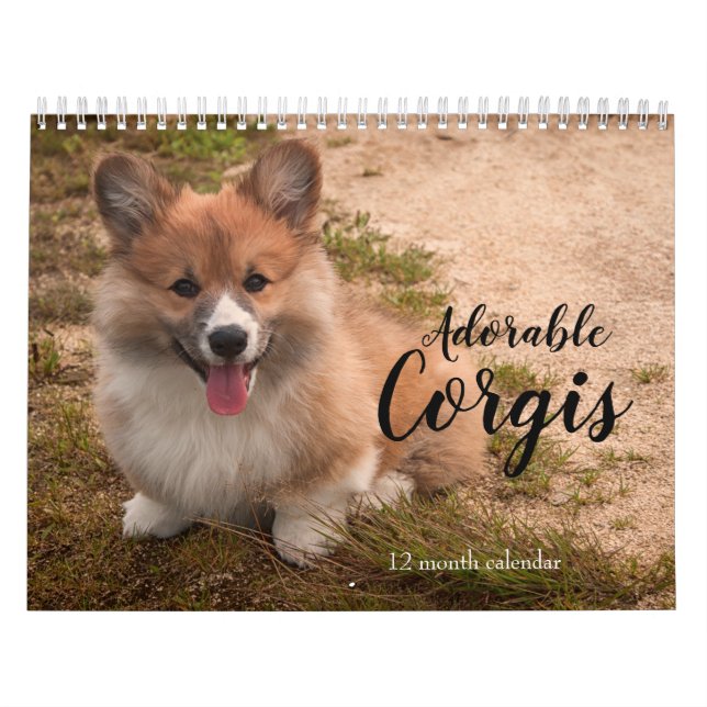 Adorable Corgi Dogs 2026 Calendar (Cover)