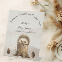 Adorable Cute Baby Hedgehog Baby Shower