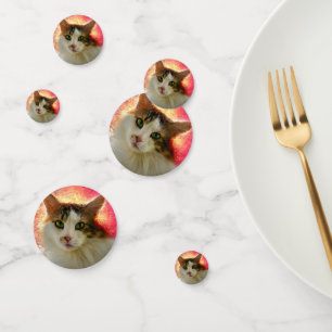 Adorable Cute Calico Cat Confetti