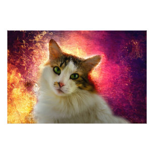 Adorable Cute Calico Cat Photo Print