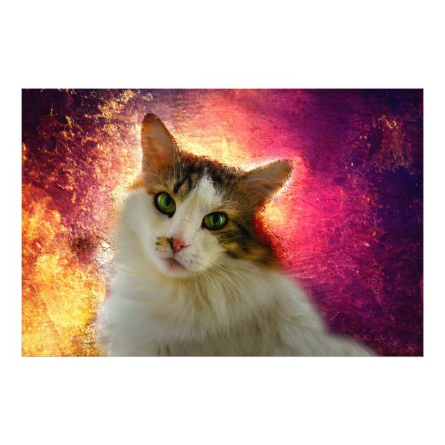 Adorable Cute Calico Cat Photo Print (Front)