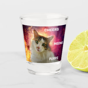 Adorable Cute Calico Cat Shot Glass