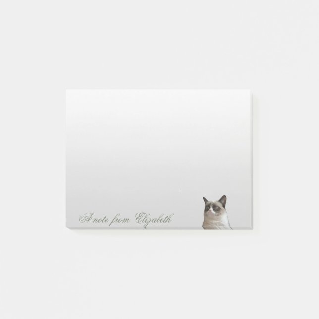 Adorable Cute Cat Post-it Notes (Front)