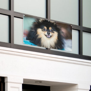 Adorable Cute Dog Looking Outdoor Crafts Grommets Banner