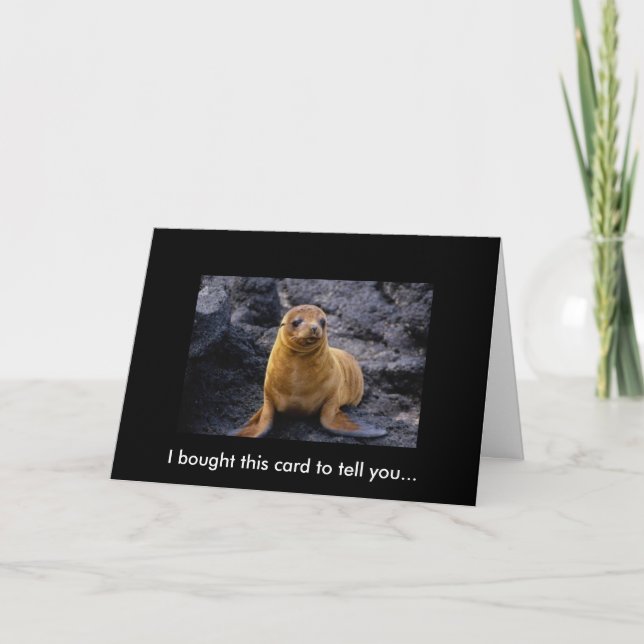 Adorable Cute Harbour Seal Pup On The Rocks Card (Front)