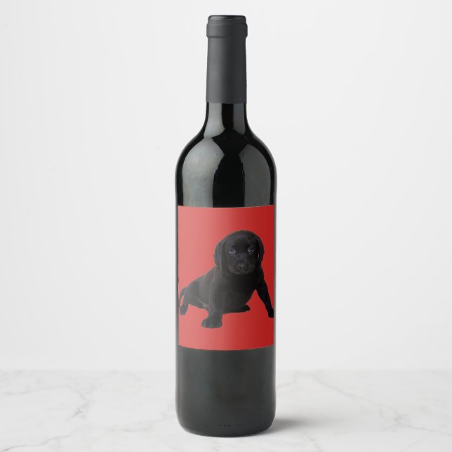 Adorable Cute Puppy Labrador Wine Label (Front)
