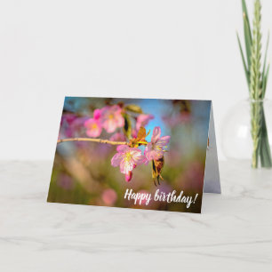 Adorable Cute Sakura Flowers At Spring Sunset Card
