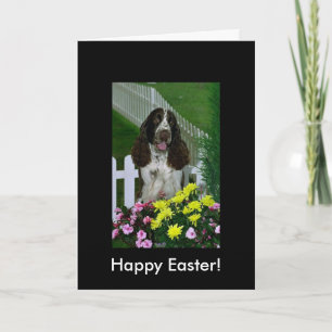 Adorable Cute Springer Spaniel Easter Holiday Card