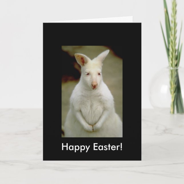 Adorable Cute White Albino Kangaroo Holiday Card (Front)
