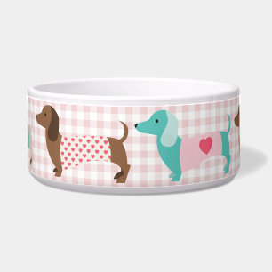 Adorable Dachshund Dog