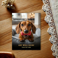 Adorable Dachshund Get Well Postcard