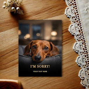 Adorable Dachshund I'm Sorry  Postcard