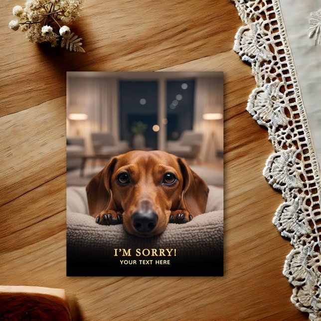 Adorable Dachshund I'm Sorry  Postcard (Creator Uploaded)