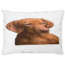 Adorable Dachshund Portrait Cosy Dog Bed