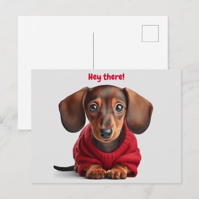 Adorable Dachshund Puppy  Postcard (Front/Back)