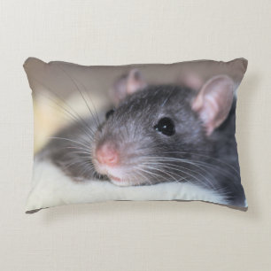 Adorable Decorative Cushion