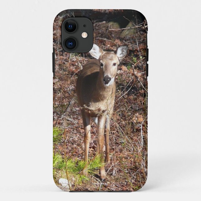 Adorable Deer in the Woods Nature Photography Case-Mate iPhone Case (Back)