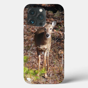 Adorable Deer in the Woods Nature Photography iPhone 13 Pro Case