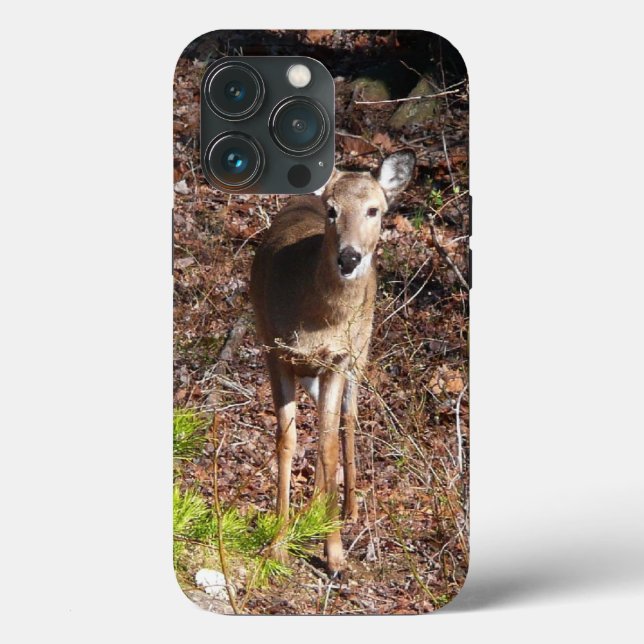 Adorable Deer in the Woods Nature Photography Case-Mate iPhone Case (Back)