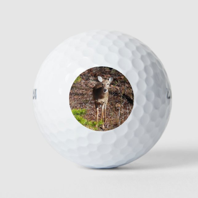 Adorable Deer in the Woods Nature Photography Golf Balls (Front)