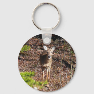 Adorable Deer in the Woods Nature Photography Key Ring