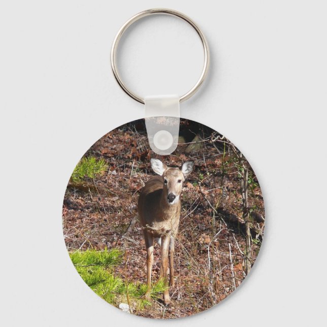 Adorable Deer in the Woods Nature Photography Key Ring (Front)