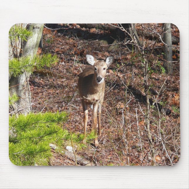 Adorable Deer in the Woods Nature Photography Mouse Mat (Front)