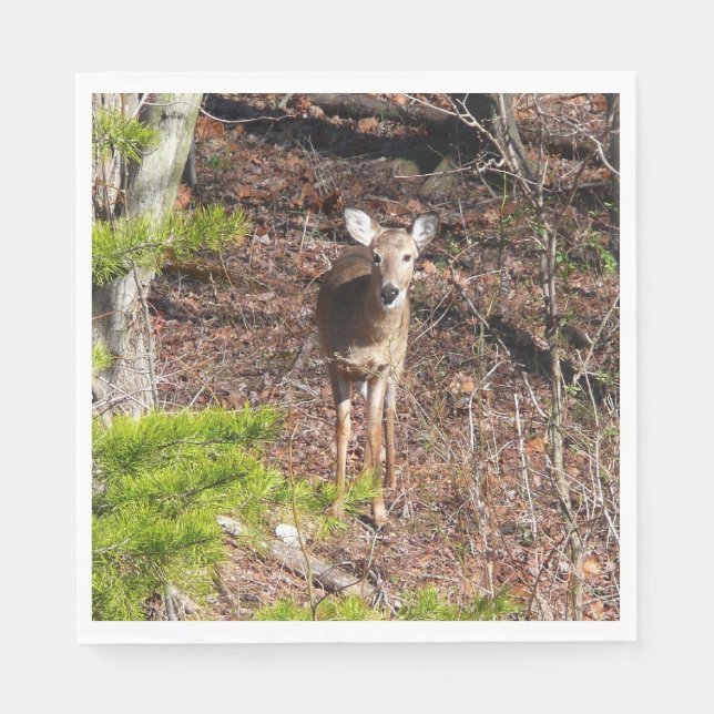 Adorable Deer in the Woods Nature Photography Napkin (Front)