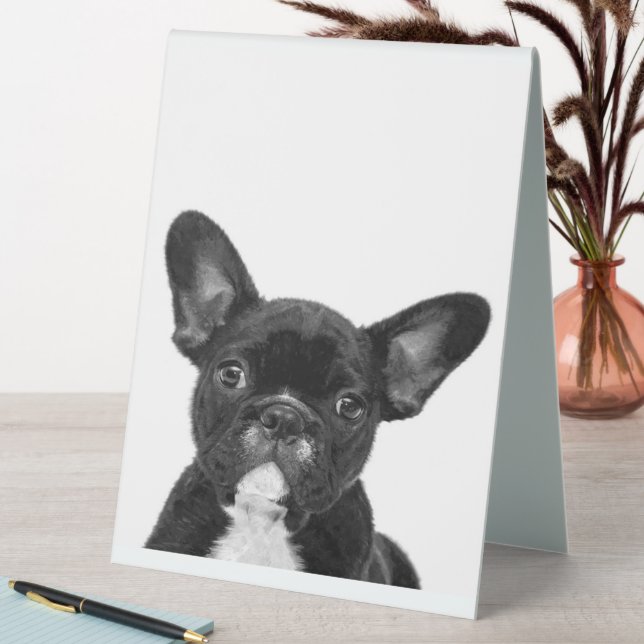 Adorable Dog | Black French Bulldog Face (In SItu (Table))