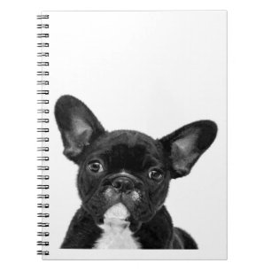 Adorable Dog   Black French Bulldog Face Notebook