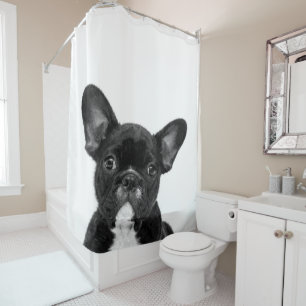 Adorable Dog   Black French Bulldog Face Shower Curtain