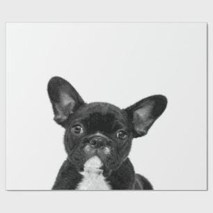 Adorable Dog Black French Bulldog Face Wrapping Paper