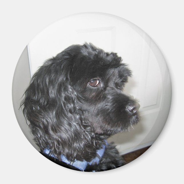 Adorable Dog Magnet (Front)