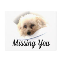 Adorable Dog Missing You Postcard