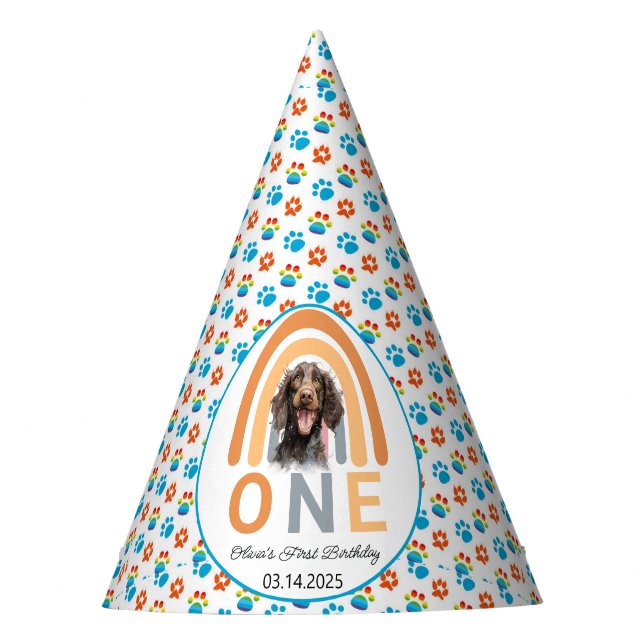 Adorable Dog Rainbow Watercolor 1st Birthday Party Hat (Front)