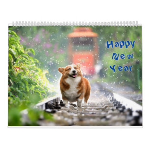 Adorable Dogs Cute Puppies Man Best Pet Photos Calendar