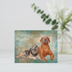 Adorable Dogs On Art Missing You Postcard