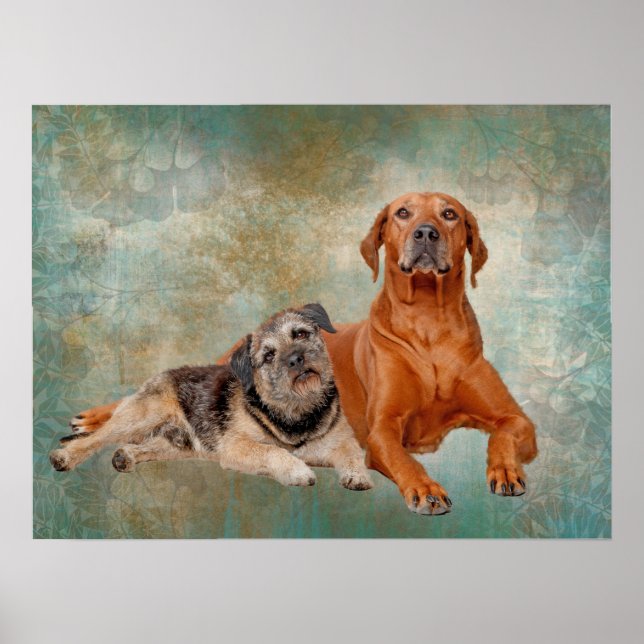 Adorable Dogs On Decopage Art  Poster (Front)