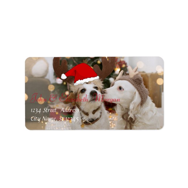 Adorable Dogs With Santa Hat Label (Front)