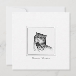 Adorable Domestic Shorthair Cat Sketched Note Card