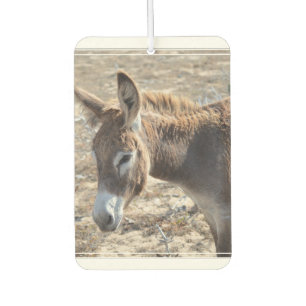 Adorable Donkey Car Air Freshener