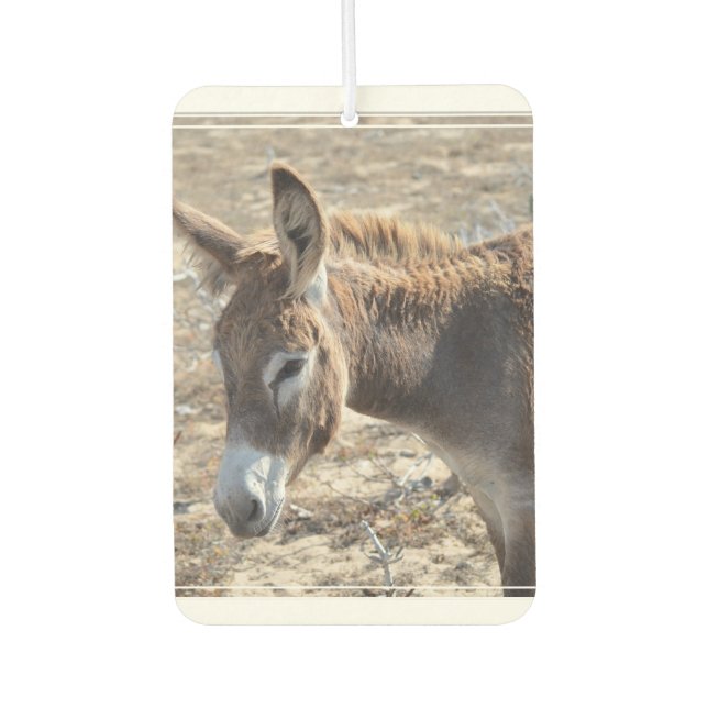 Adorable Donkey Car Air Freshener (Front)