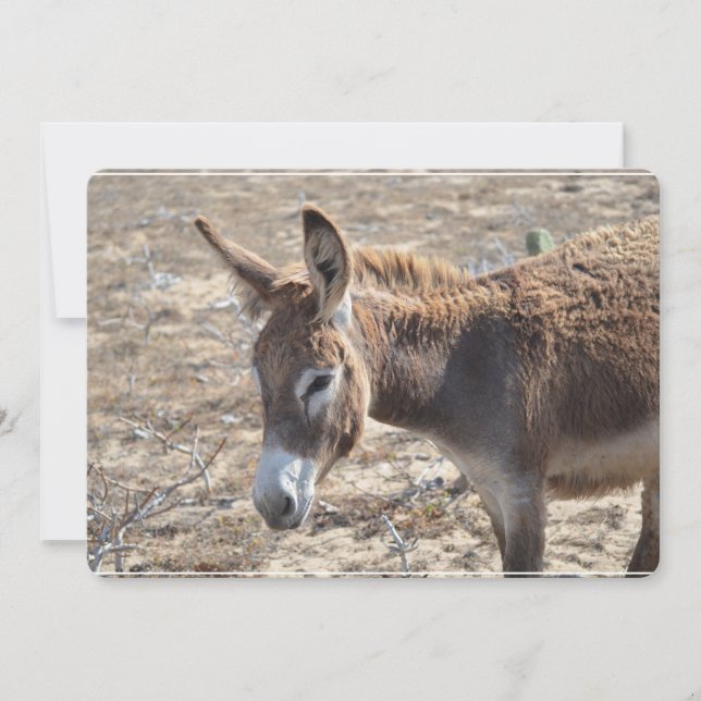 Adorable Donkey Invitation (Front)