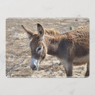 Adorable Donkey Invitation