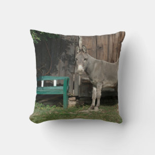 Adorable Donkey Next To Wooden Green Bench Cushion