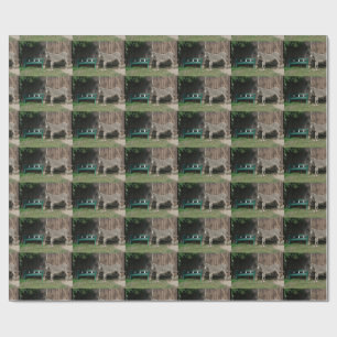 Adorable Donkey Next To Wooden Green Bench Wrapping Paper